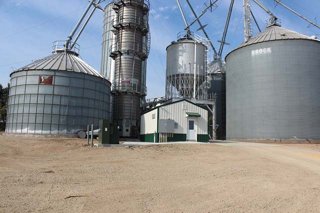 Schroeder Grain